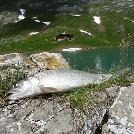 Bach By Interhome * Lenk