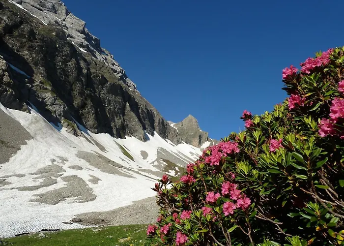 Apartment Bach By Interhome