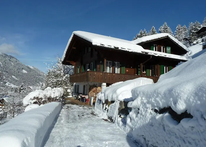 Bach By Interhome Apartment Lenk