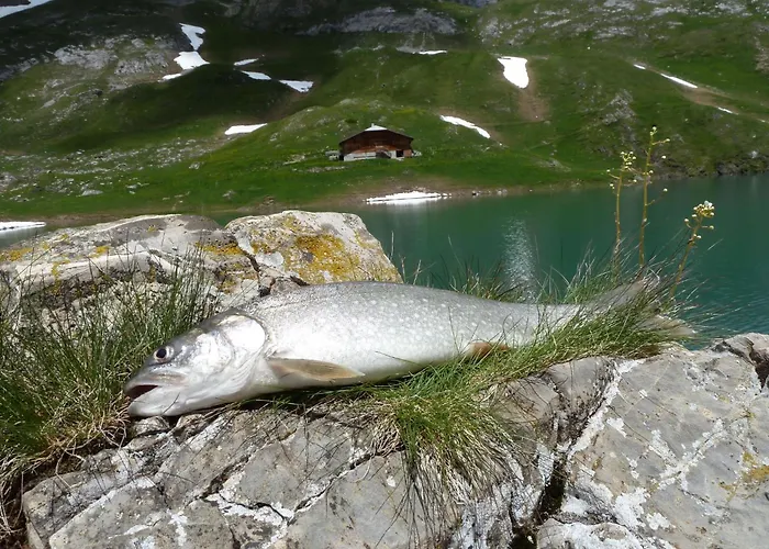 Bach By Interhome * Lenk