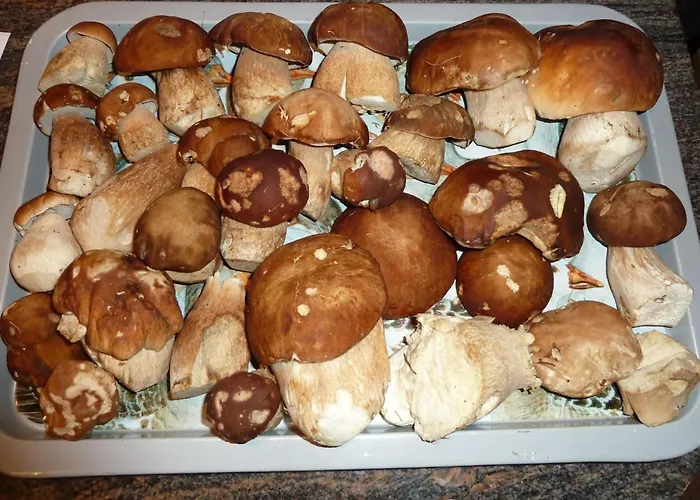 Bach By Interhome Apartment Lenk