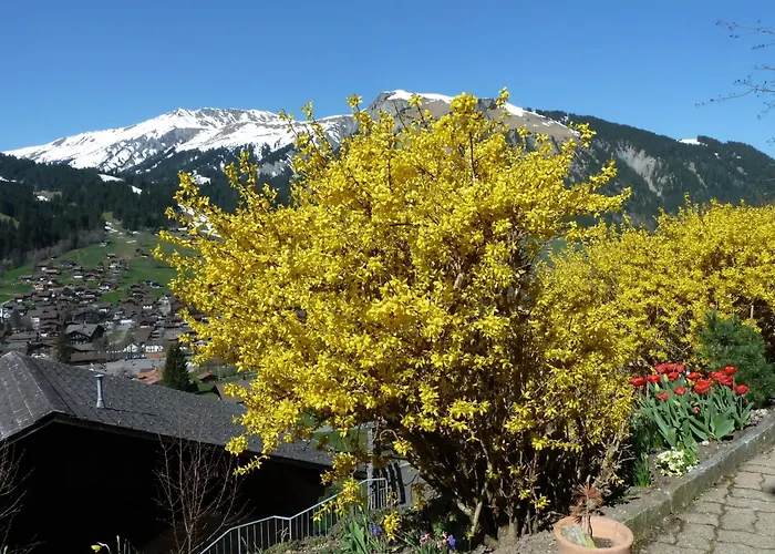 Bach By Interhome * Lenk