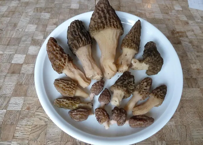 Bach By Interhome لينك