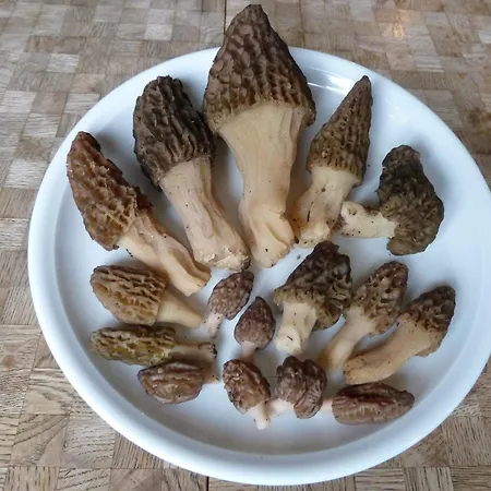 Bach By Interhome Lenk