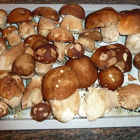 Bach By Interhome Apartman Lenk