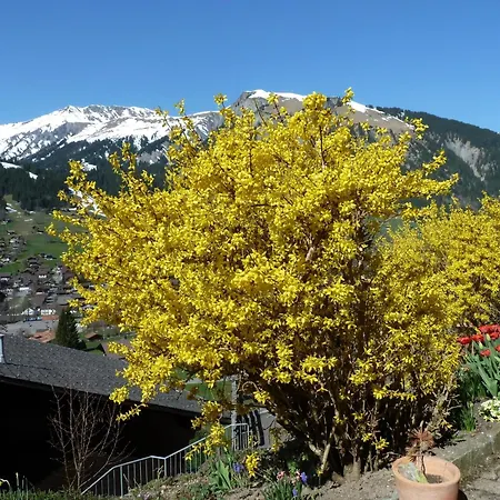 Bach By Interhome * Lenk